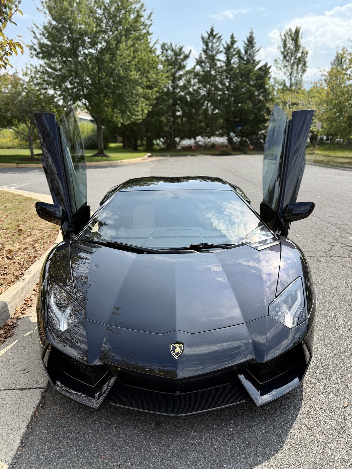 Grey Lamborghini Aventador with doors open