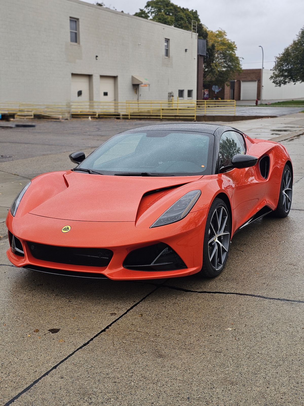 Orange Lotus Emira
